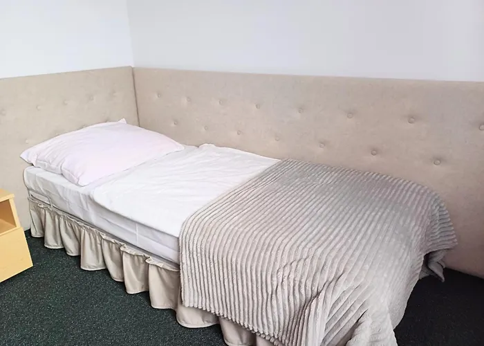 Hotel I Restauracja Borowianka